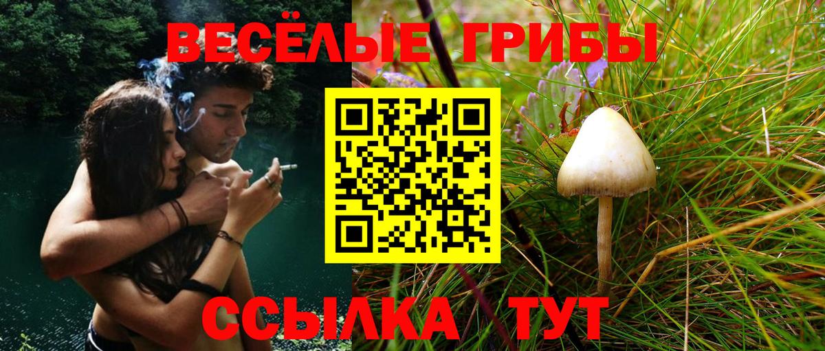 Псилоцибиновые грибы прущие грибы  Вход с VPN  Переславль-Залесский 